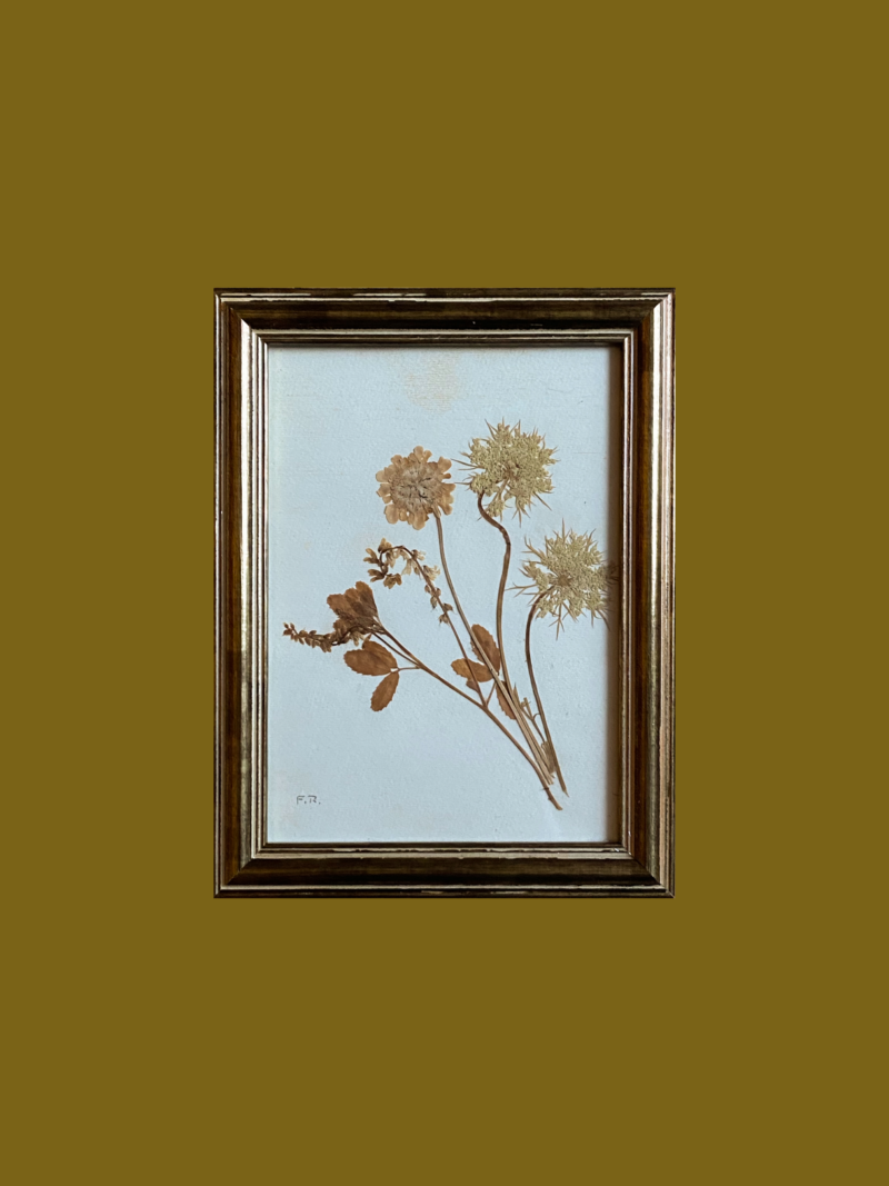 Pressed Flowers Art